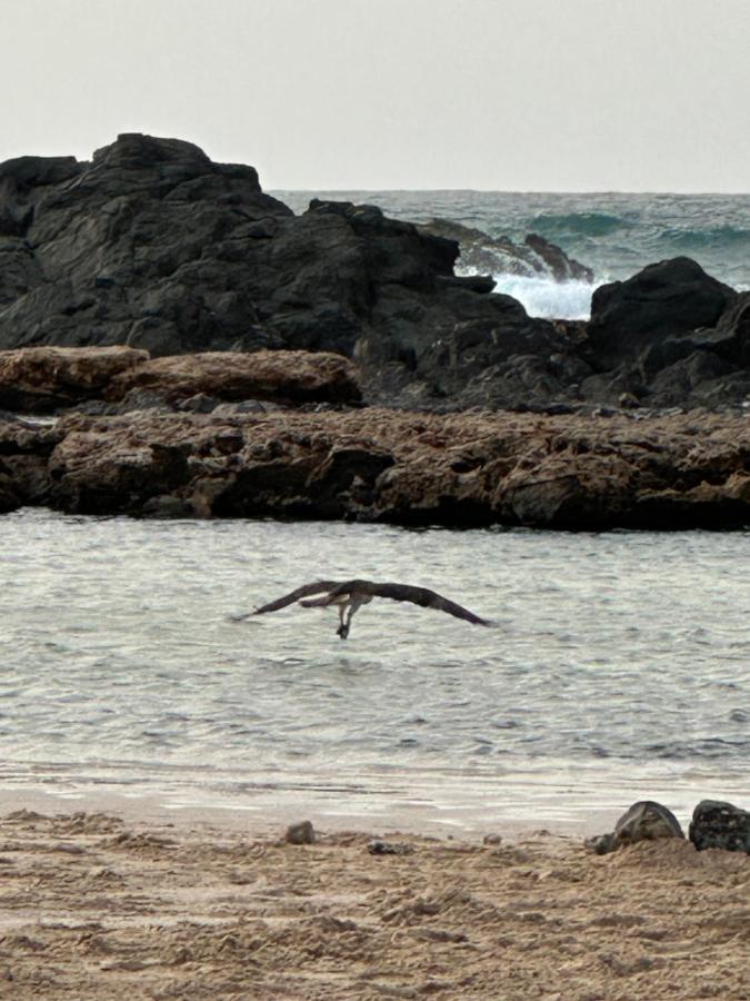 B&B Mi Ma Bo, Sal Rei, Boa Vista, Cape Verde, Free Wi-Fi المظهر الخارجي الصورة